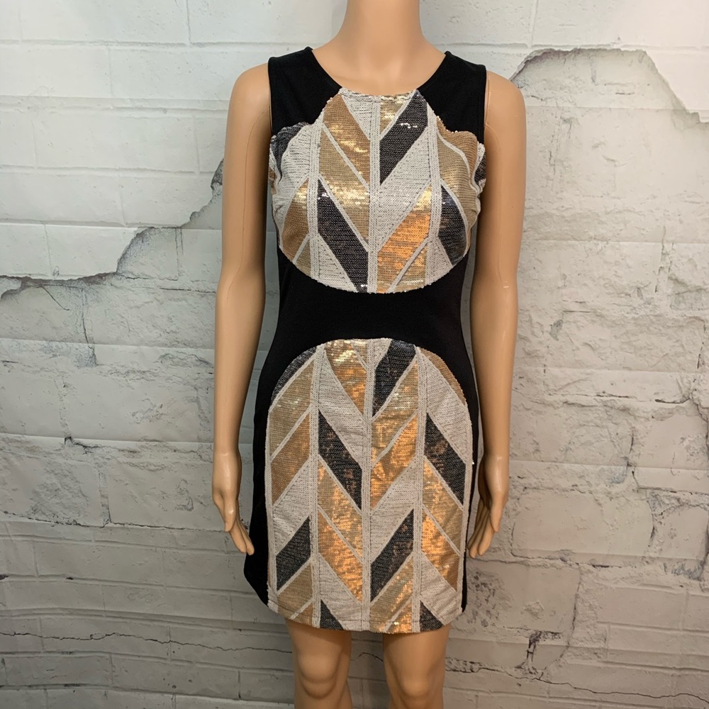 Gorgeous Sequined Dress